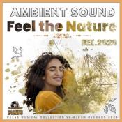 Сборник музыки VA - Feel The Nature: Ambient Sound (2020) MP3