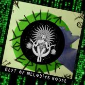 Сборник музыки VA - Best Of Melodic House 2020 (2021) MP3