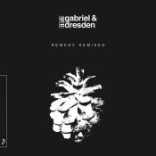 Сборник музыки Gabriel & Dresden - Remedy (Remixed) (2021) MP3