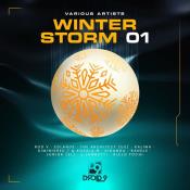 VA - Winter Storm (2023) MP3