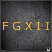 VA - FGXII (12th Years Anniversary) (2023) MP3