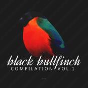 VA - Black Bullfinch Compilation Vol 1 (2023) MP3