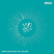 VA - Redux Selection Vol 6 / 2023 (2023) MP3