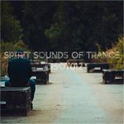 VA - Spirit Sounds Of Trance #012 (Mixed by SounEmot) (2023) MP3