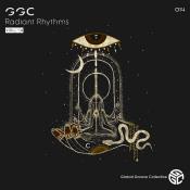 VA - Stan Kolev - Radiant Rhythms Vol 14 (2023) MP3