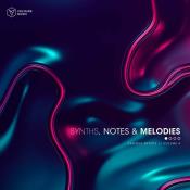 VA - Synths, Notes & Melodies Vol 4 (2024) MP3