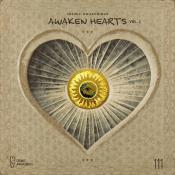 VA - Awaken Hearts Vol 1 (2024) MP3