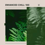 VA - Enhanced Chill 100 (2024) MP3