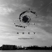 VA - Arey Frequencies Vol 1 (2024) MP3