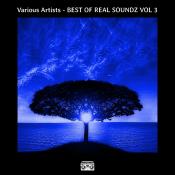 VA - BEST OF REAL SOUNDZ VOL 3 (2024) MP3