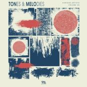 VA - Tones & Melodies Vol. 25 (2024) MP3