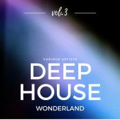 VA - Deep-House Wonderland, Vol 3 (2024) MP3