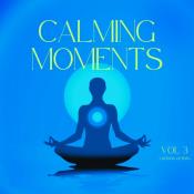 VA - Calming Moments, Vol. 3 (2024) MP3