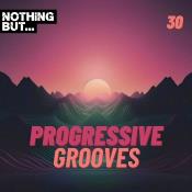 VA - Nothing But... Progressive Grooves, Vol. 30 (2024) MP3