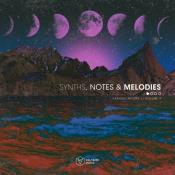 VA - Synths, Notes & Melodies Vol. 9 (2024) MP3