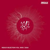 VA - Redux Selection, Vol. 10 / 2024 (2024) MP3