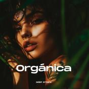 VA - Organica (2024) MP3