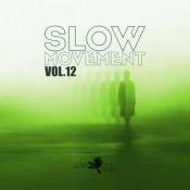 VA - Slow Movement, Vol 12 (2024) MP3