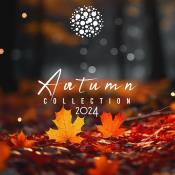 VA - Autumn Collection 2024 MP3