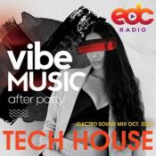 Сборник музыки VA - Vibe Music: Tech House Electro Sound Mix (2020) MP