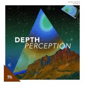 VA - Depth Perception Vol. 9 (2025) MP3