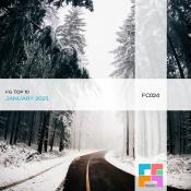 VA - FG Top 10: January 2025 (2025) MP3