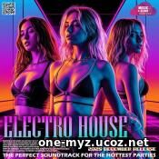 The Perfect Electro House