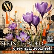 EDM Springloaded (2026) EDM: EDM Springloaded (2026)