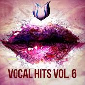 Сборник музыки VA - Vocal Hits Vol. 6 (2020) MP3